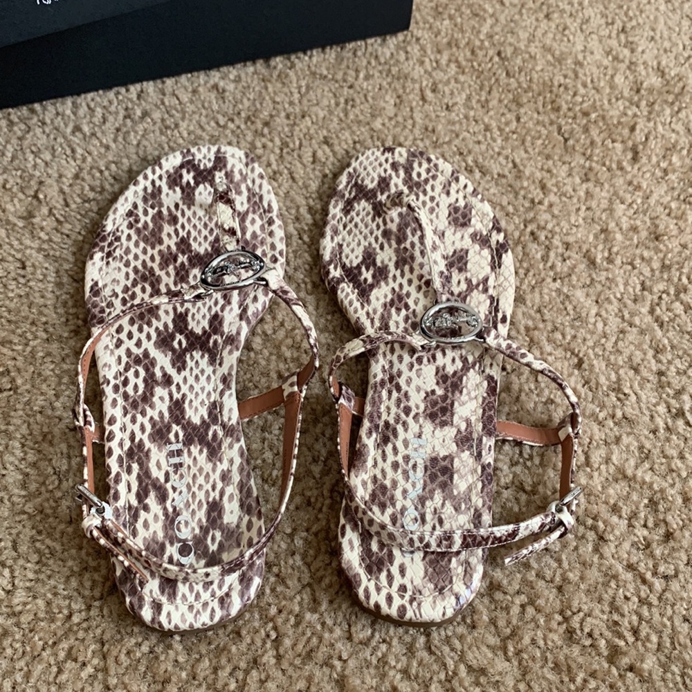 Coach - Picture 4 of 8